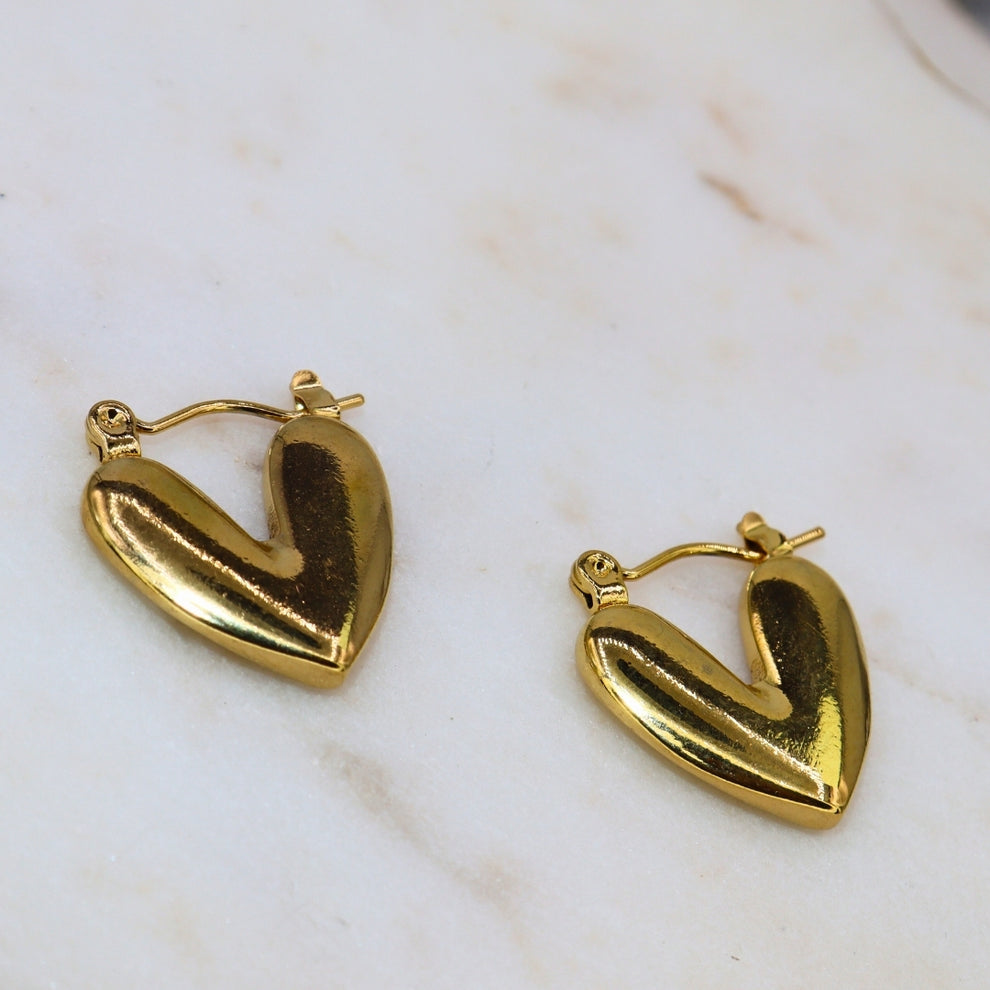 Vani Heart Hoops