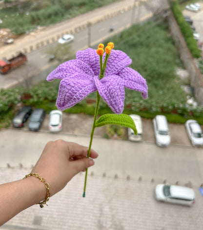 Crochet Lily