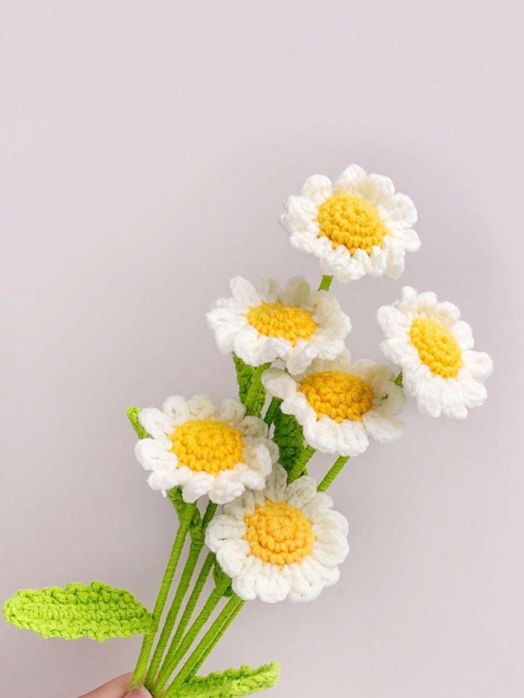 Crochet Daisy