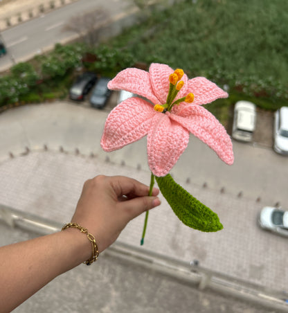 Crochet Lily